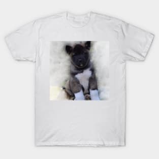 American Akita T-Shirt